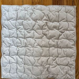 Pine Cone Hill Pillowsham